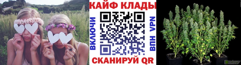 ГАШ Данилов
