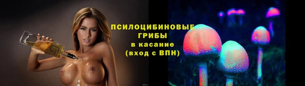герыч Мегион