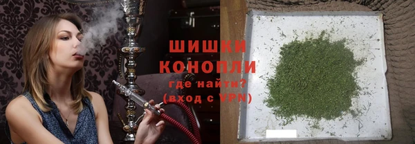спайс Гусев