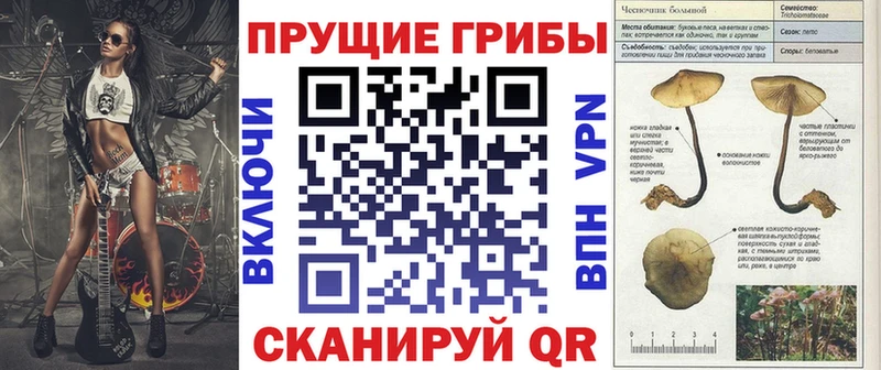 где найти   Данилов  Псилоцибиновые грибы мицелий 