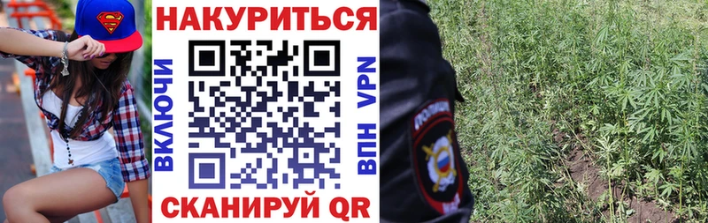 где найти Данилов Бошки Шишки план